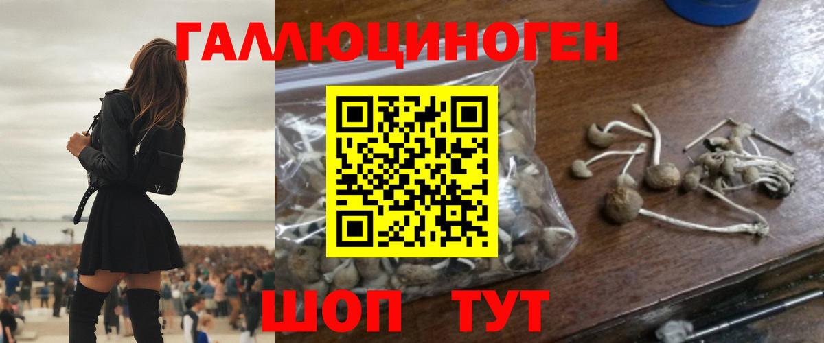 Галлюциногенные грибы Psilocybine cubensis  Вход с VPN  Глазов  Галлюциногенные грибы MAGIC MUSHROOMS 